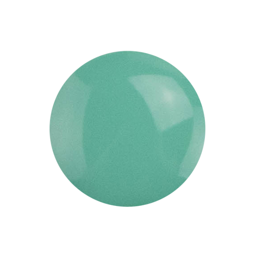 #072 Palm Frond | Clear Jelly Stamping Polish