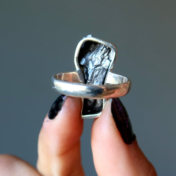 campo del cielo meteorite sterling silver ring