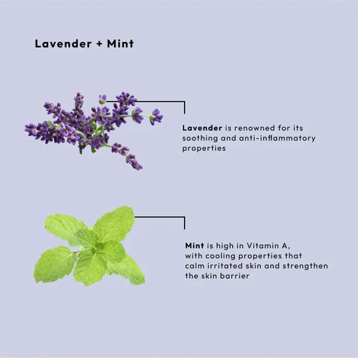 Lavender and Mint Calming Spa Set – 4-in-1 Kit (SINGLE-USE)-BCL Spa-Gel Essentialz